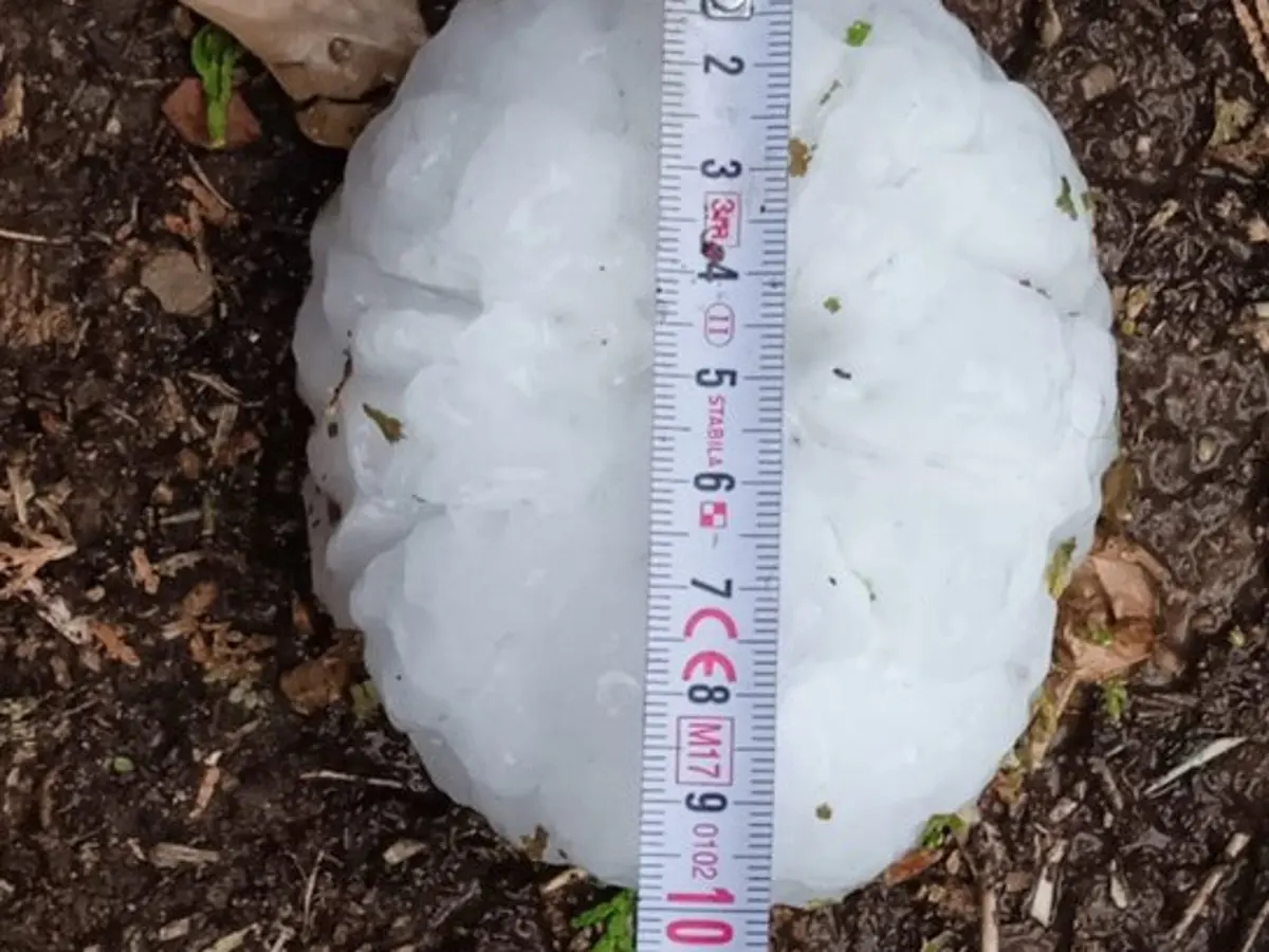 Hailstone placed on ground with a measuring tape on it
