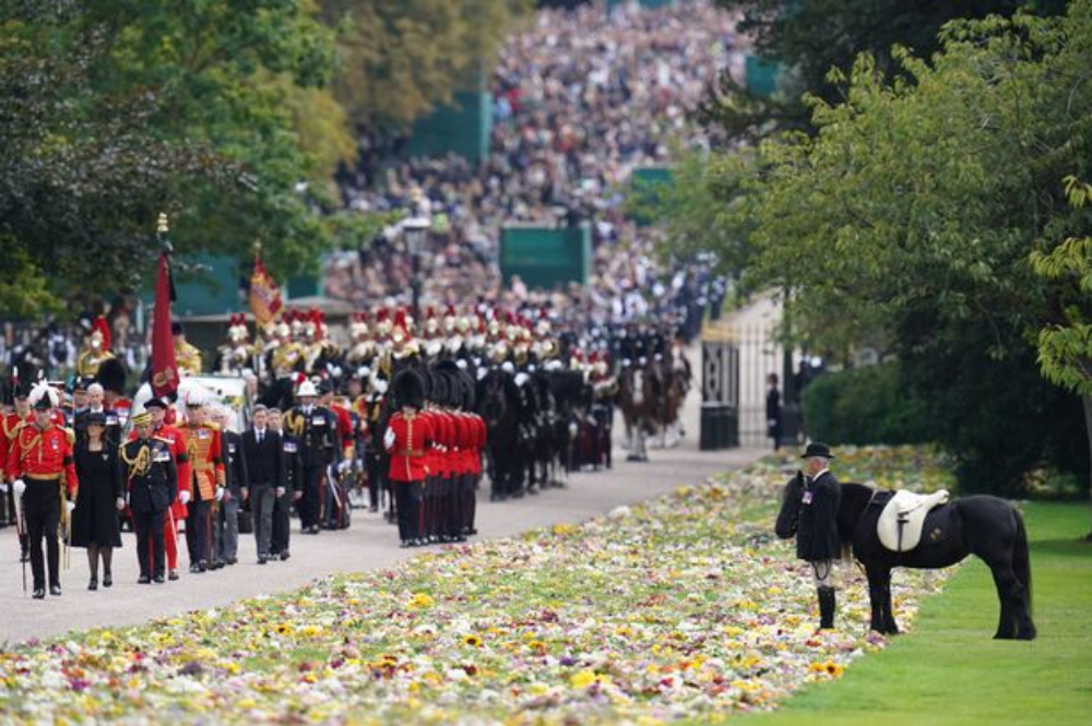 Queen Elizabeth Pony bowing during the process of Queen's burial