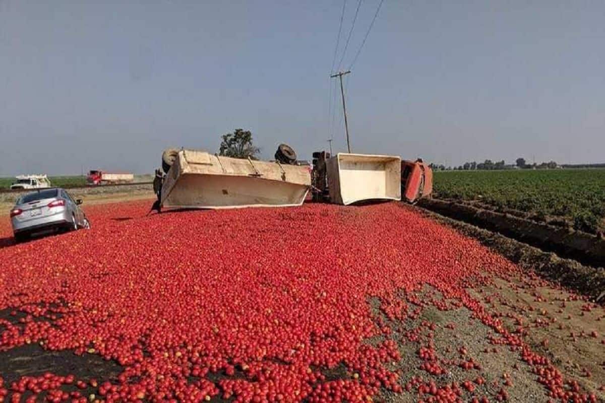 Two California Highways Closed Due To Huge Tomato Spill