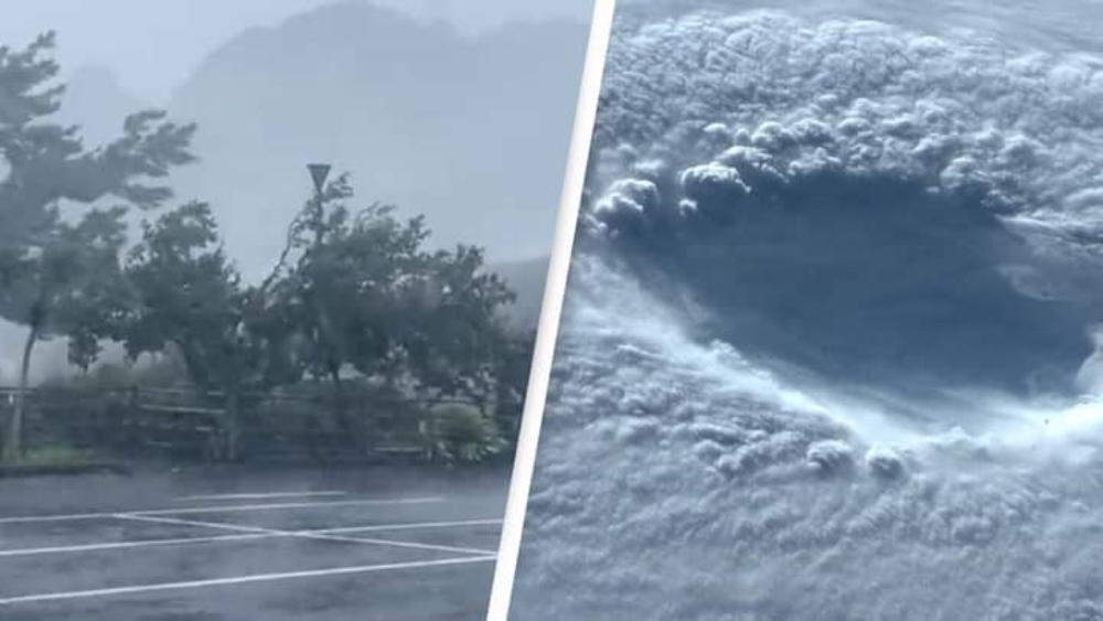 Trees getting affected by Japan's Typhoon