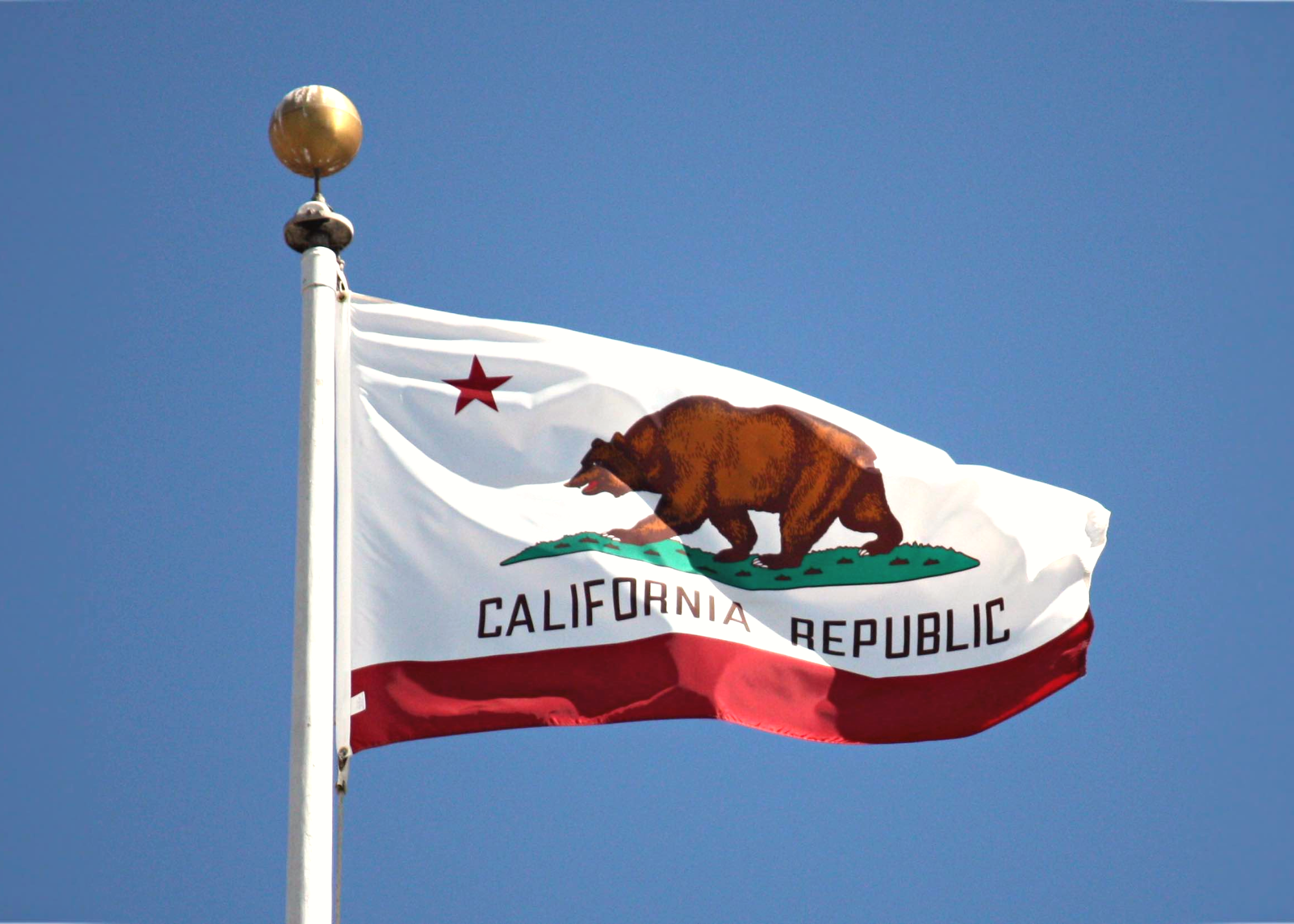 The state flag of Californian Republic has a red star in the upper left corner and a Californian Grizzly Bear depicted in the center