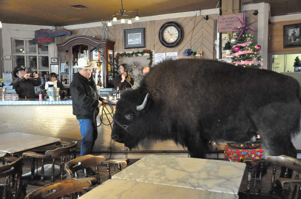 A man and a bison standing inside a restaurant