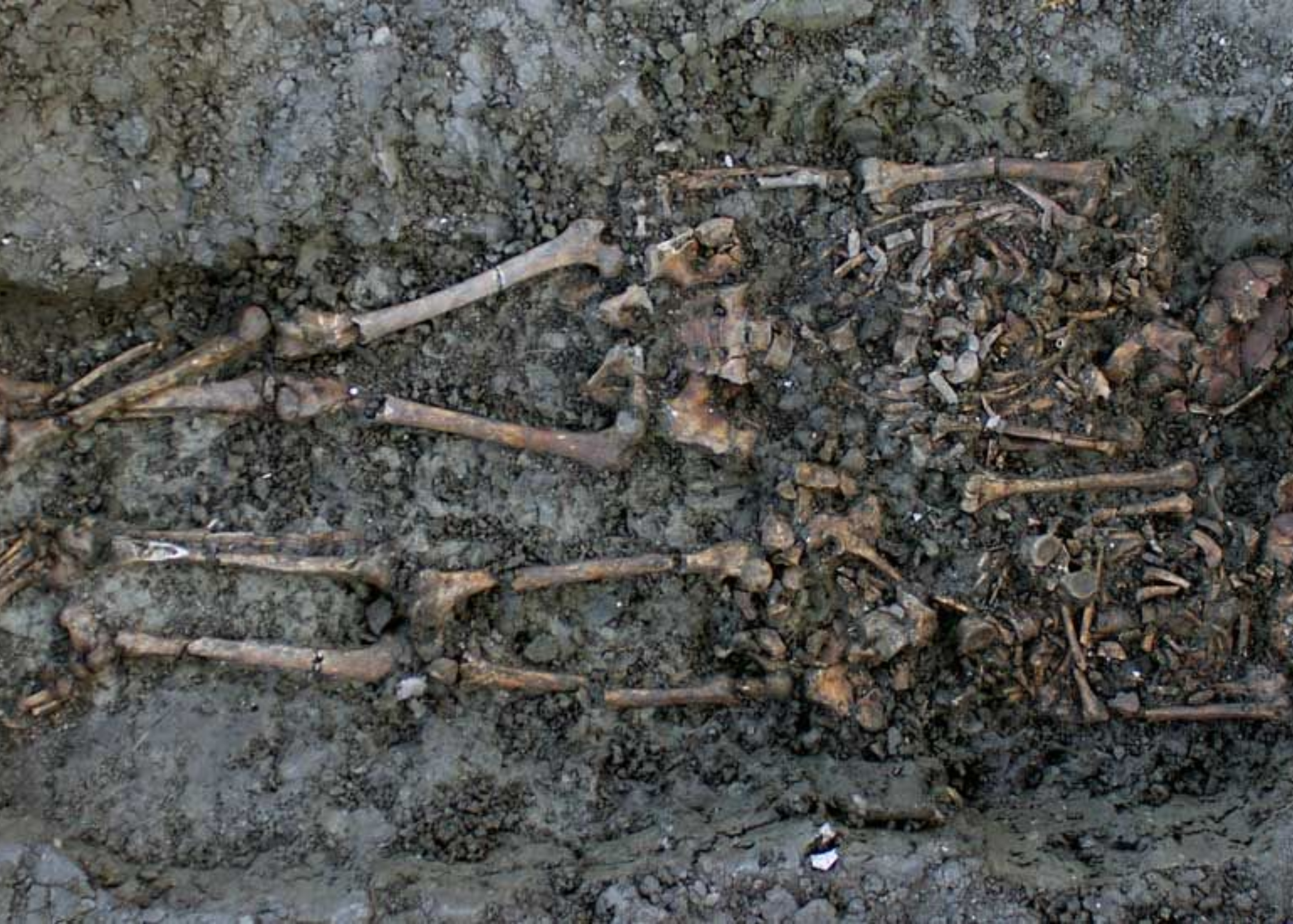 Analysis Of Roman DNA In Human Bones Uncovers A 'Family Tragedy'