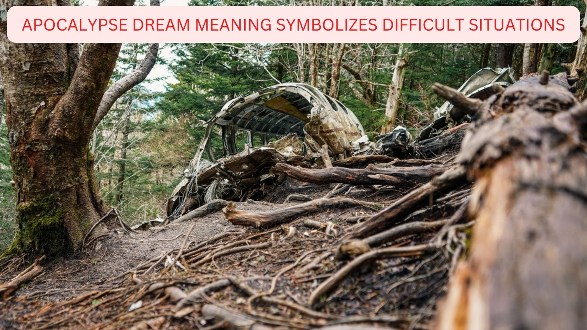 Apocalypse Dream Meaning - Symbolizes Difficult Situations