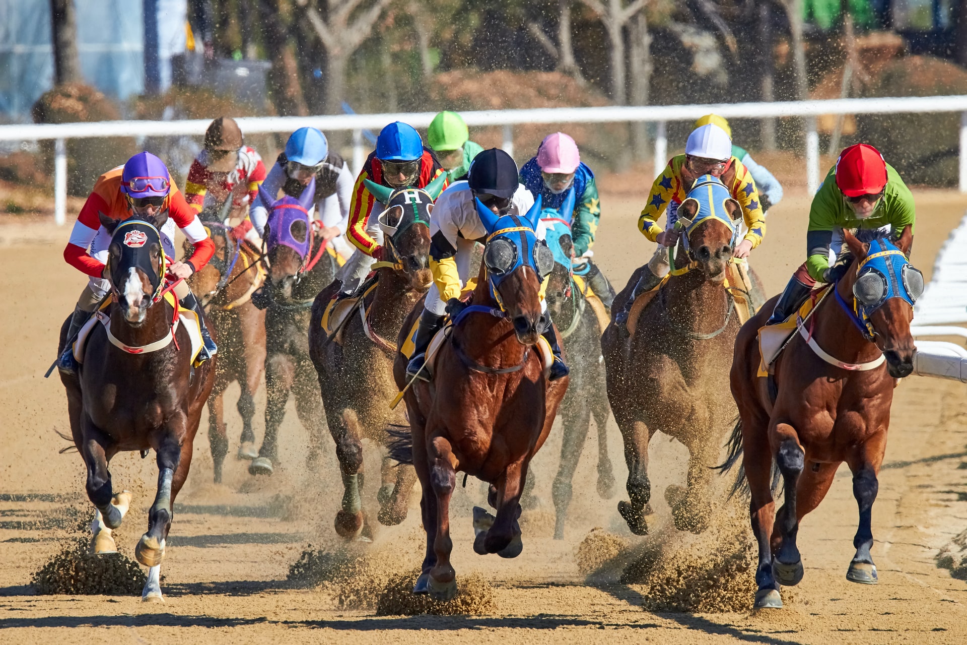 What Is An Omni Bet In Horse Racing? Best Strategies In 2022