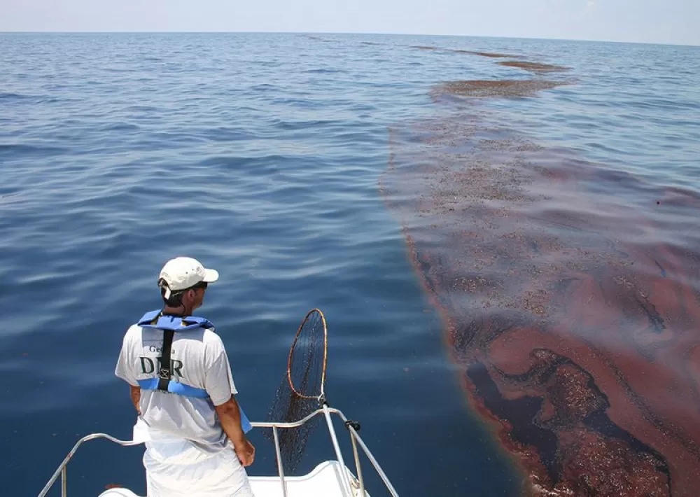A man on boat looking at an oil spill in the ocean