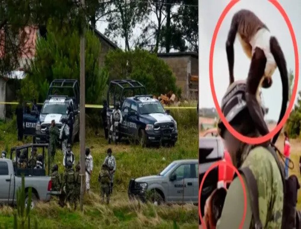 Police and police cars in the shootout place; monkey attacking a police officer