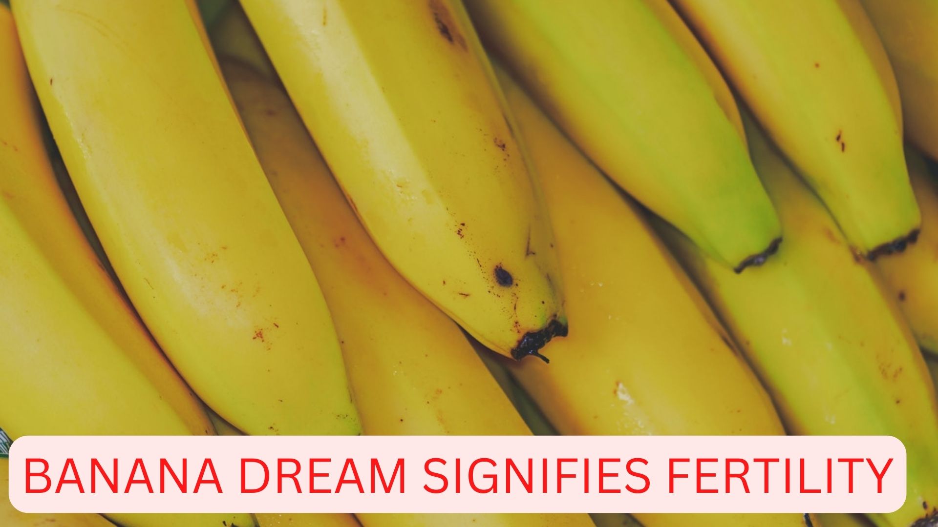 Banana Dream Signifies Fertility