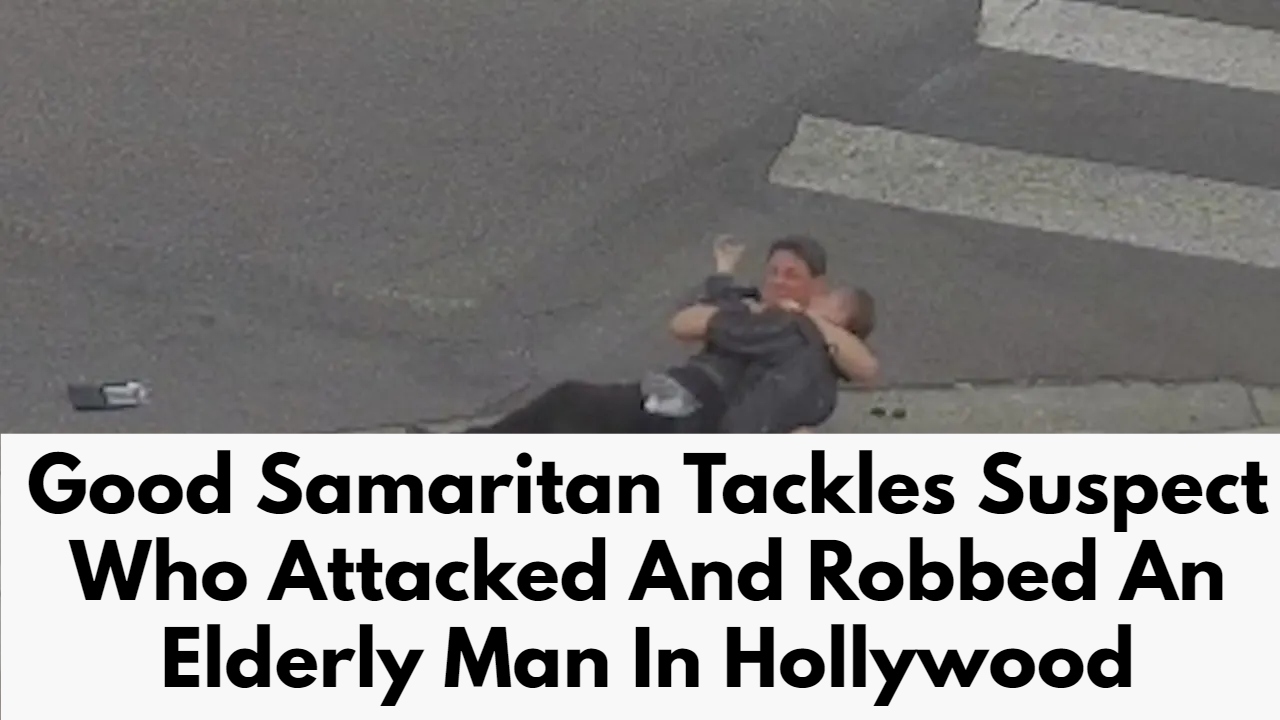 Good Samaritan Tackles Suspect Who Attacked And Robbed An Elderly Man In Hollywood