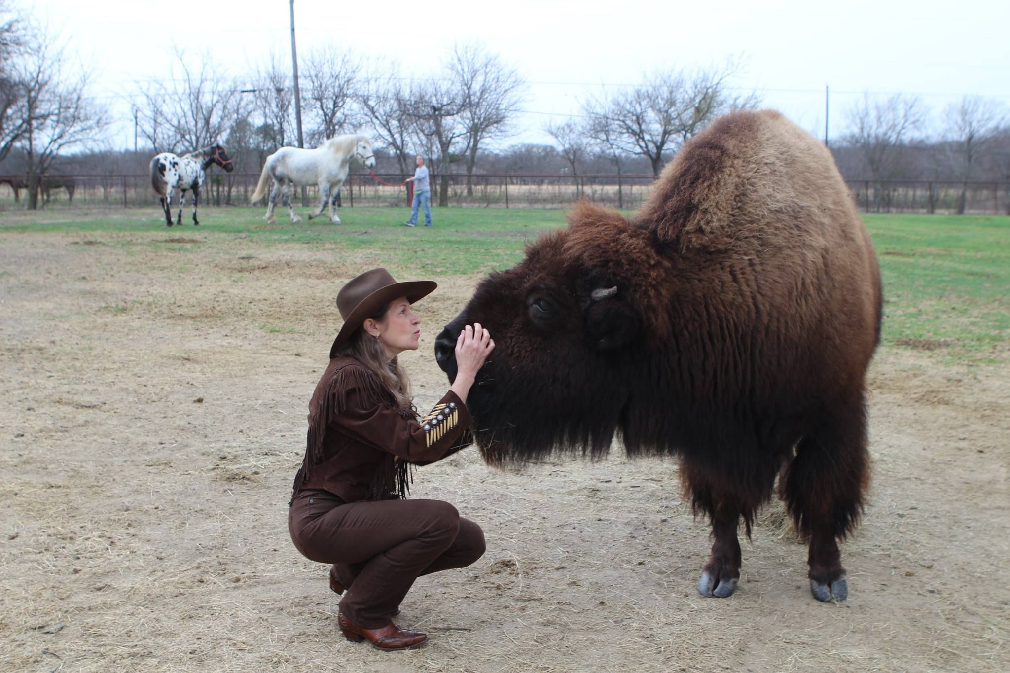 A lady and a bison in a field