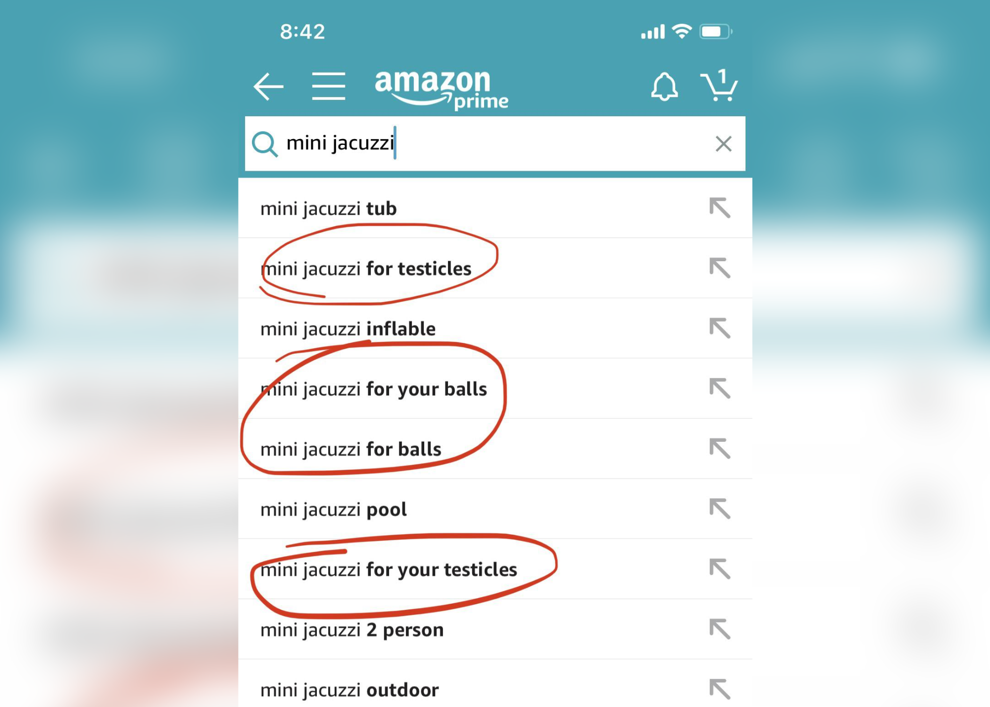 Hilarious Results After Searching For "Mini Jacuzzi" On Amazon Prime