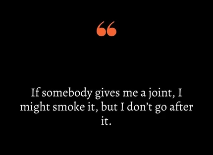 Hidden Stoner Quotes For When You Light That Blunt Again