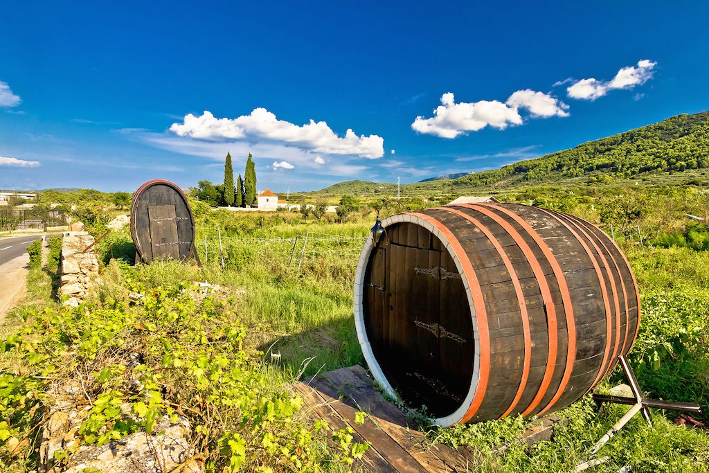 The Hilltop Town Of Motovun, Croatia, Has Vineyards Producing Which Type Of Wine?