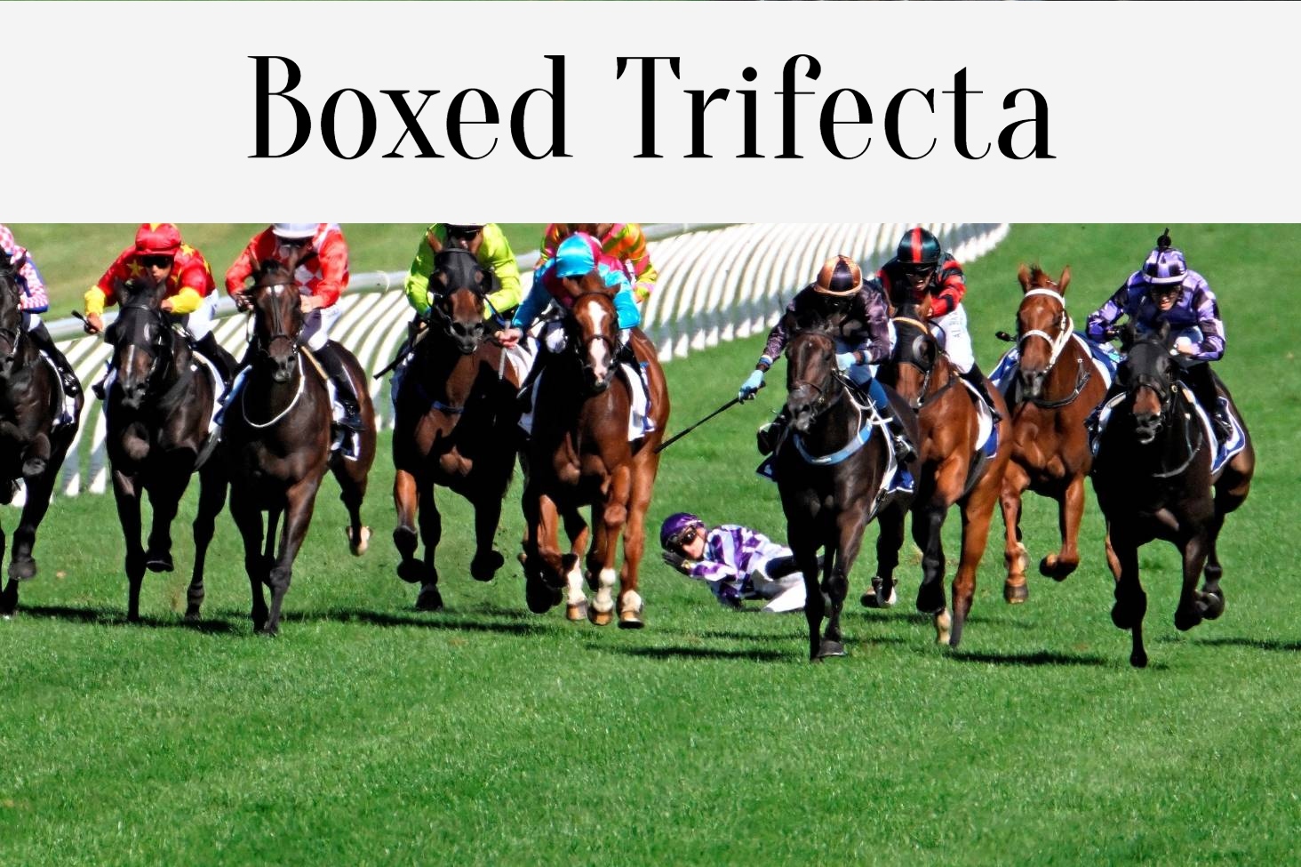 Boxed Trifecta - A Type Of Trifecta Bet In Horse Racing