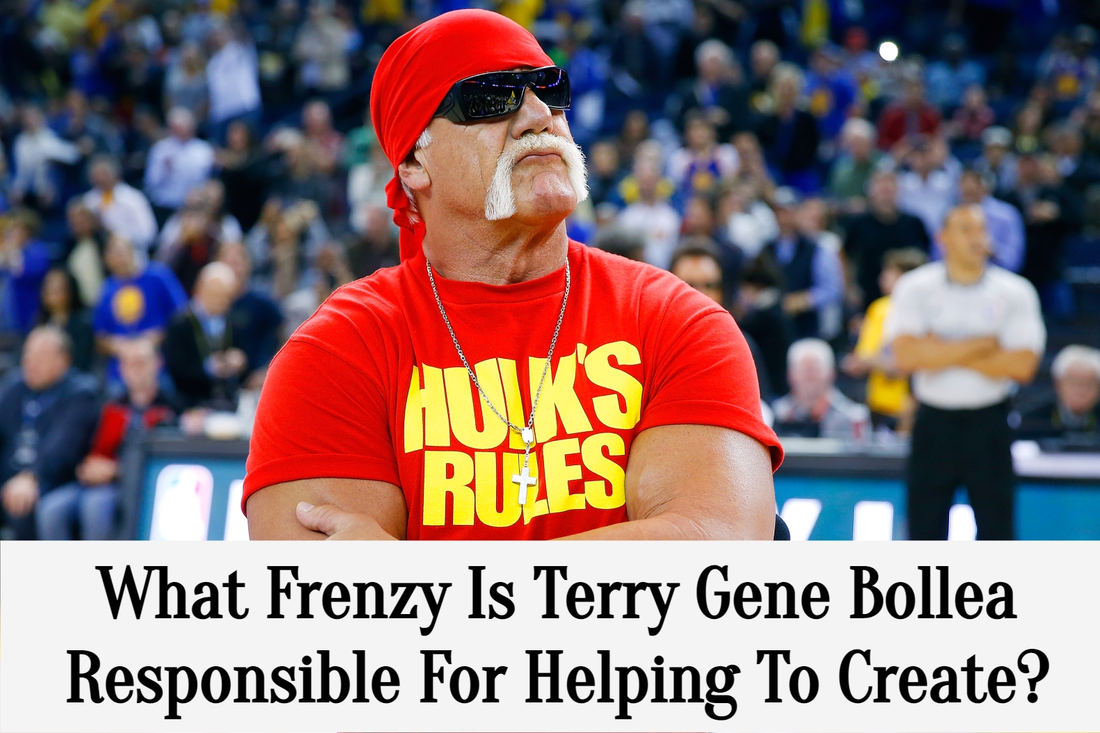 What Frenzy Is Terry Gene Bollea Responsible For Helping To Create?