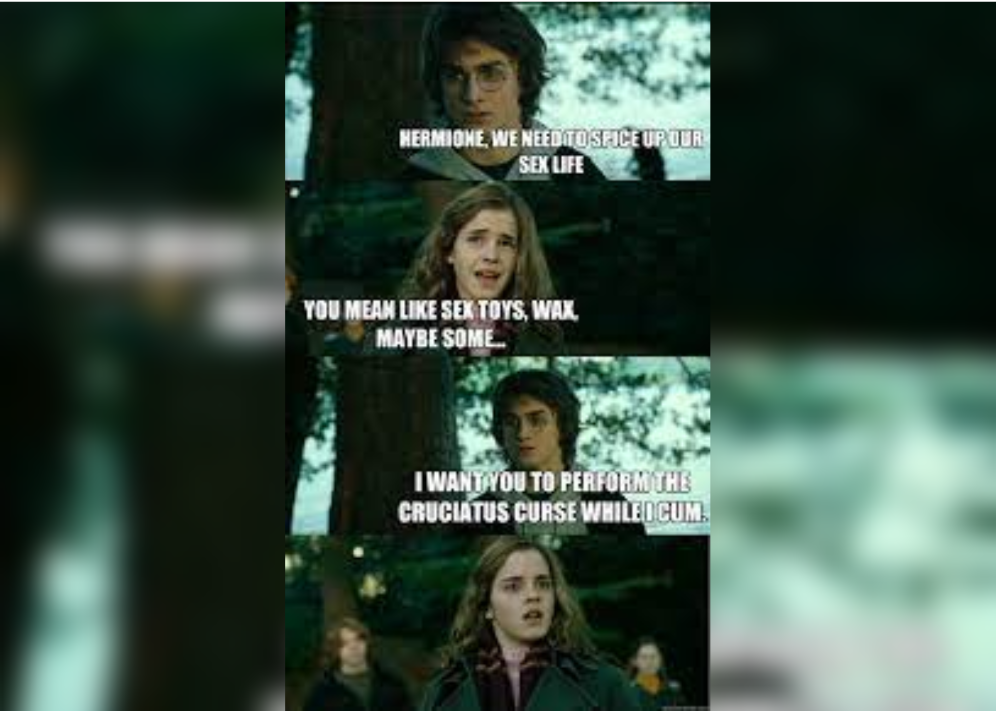 Harry Potter and Hermione talking about sex life