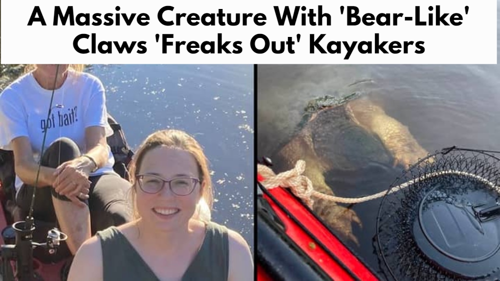 A Massive Creature With 'Bear-Like' Claws 'Freaks Out' Kayakers