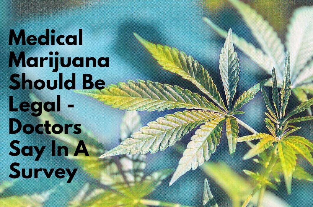 Medical Marijuana Should Be Legal - Doctors Say In A Survey