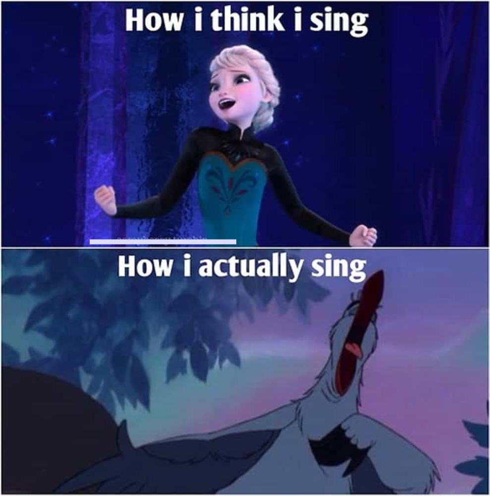 "How I Think I Sing Vs How I Actually Sing" funny meme