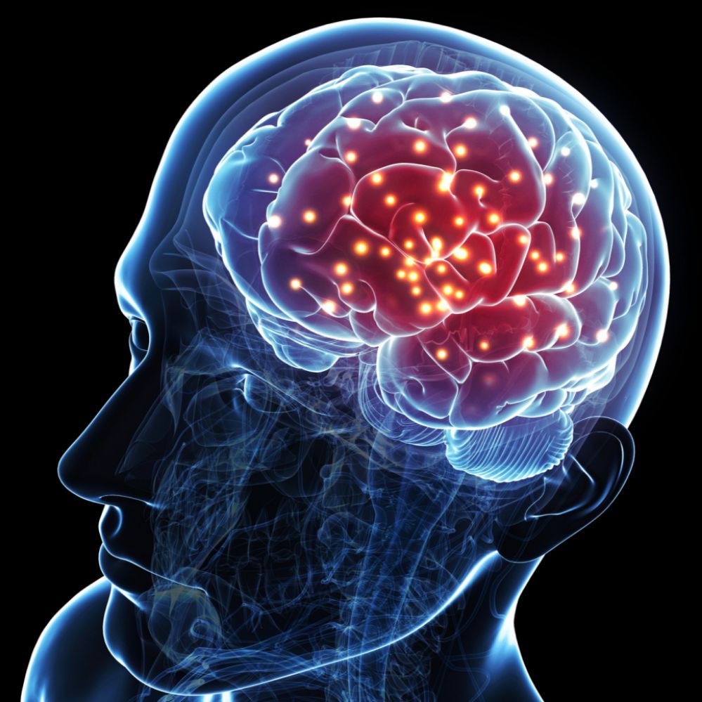 Blue graphic illustration of human brain with red highlighted parts