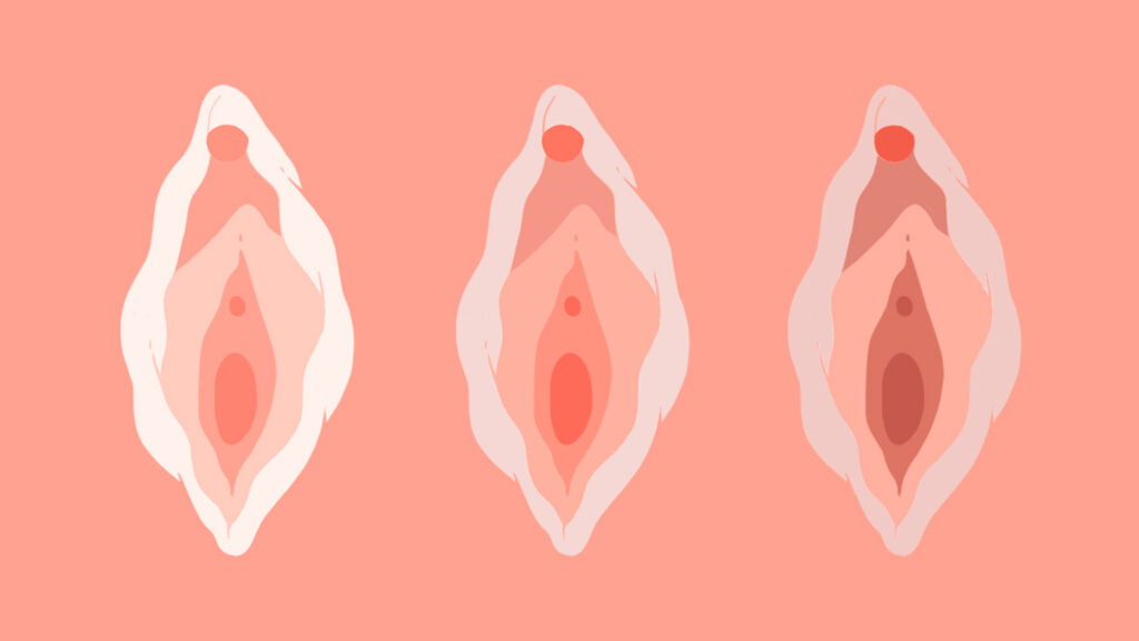 A Cartoon Depiction Of A Vagina