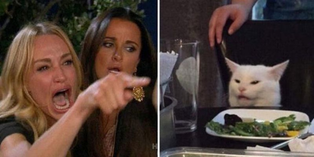 Woman Yelling At A Cat Meme - Backstory Of The Famous Meme