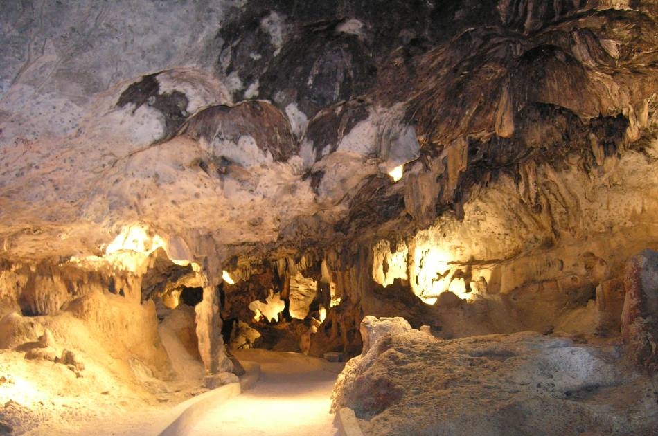 Hato Caves In Curacao Has A Colony Of Which Type Of Bats?