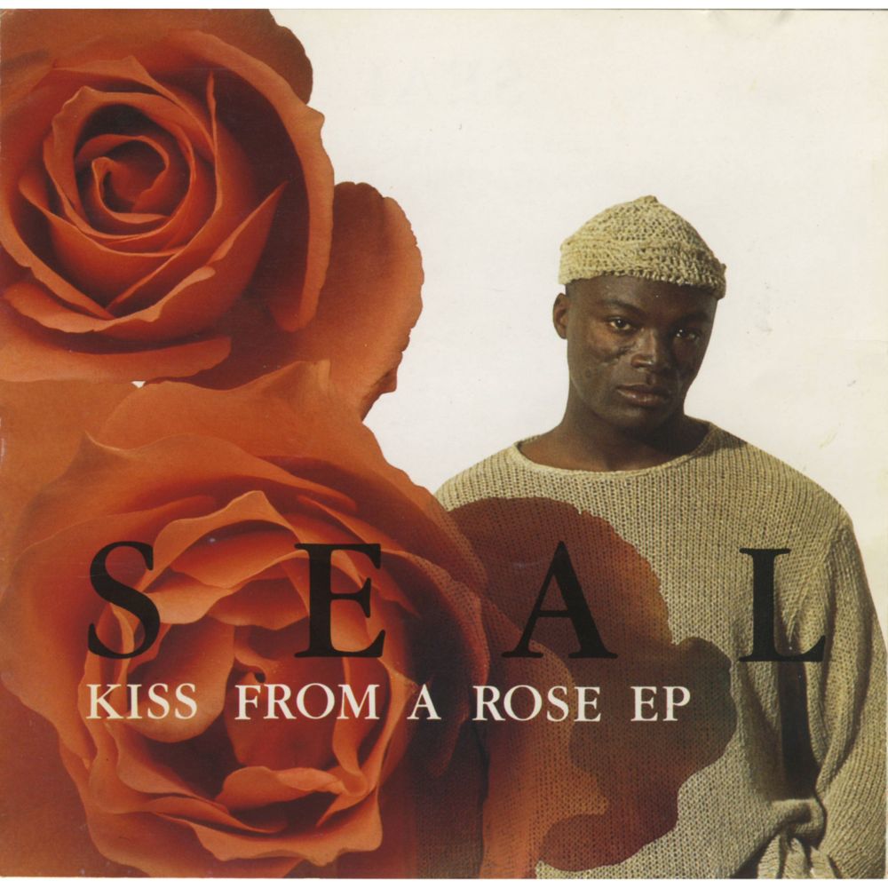 Kiss From A Rose Lyrics Meaning - Song By Seal
