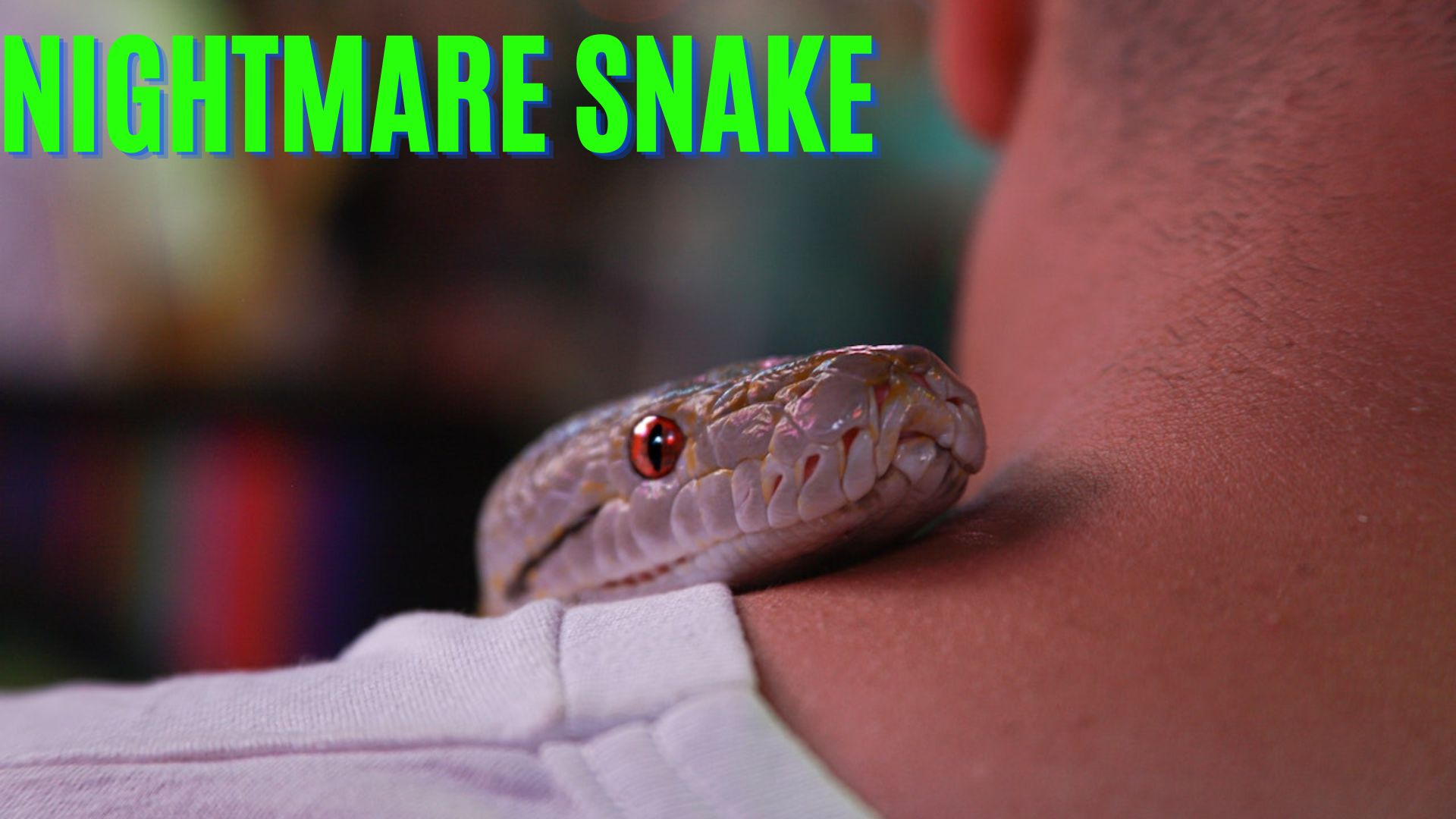 Nightmare Snake - Fears About Personal Safety