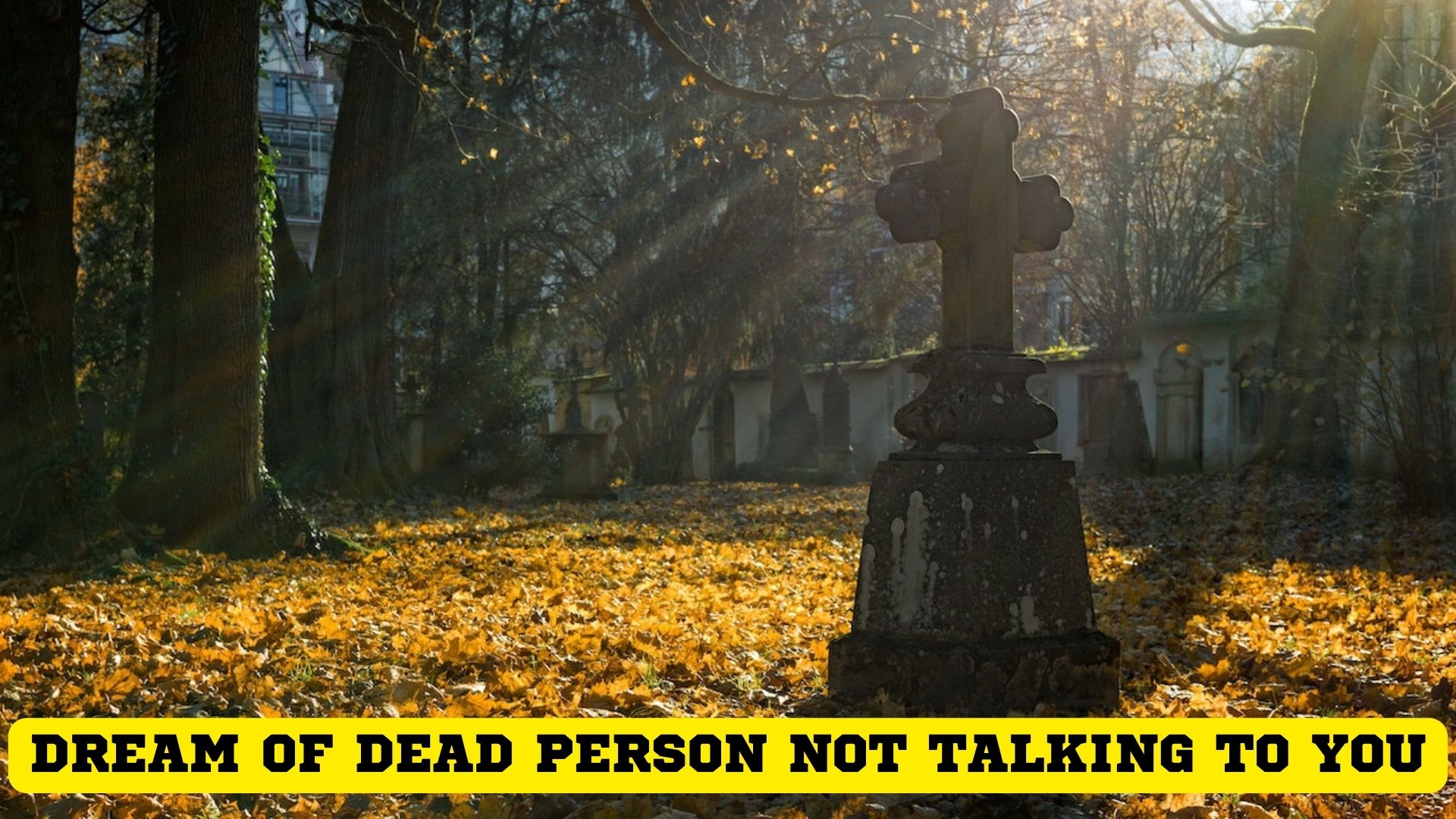 Dream Of Dead Person Not Talking To You - It Signifies Your Materialistic Attitude