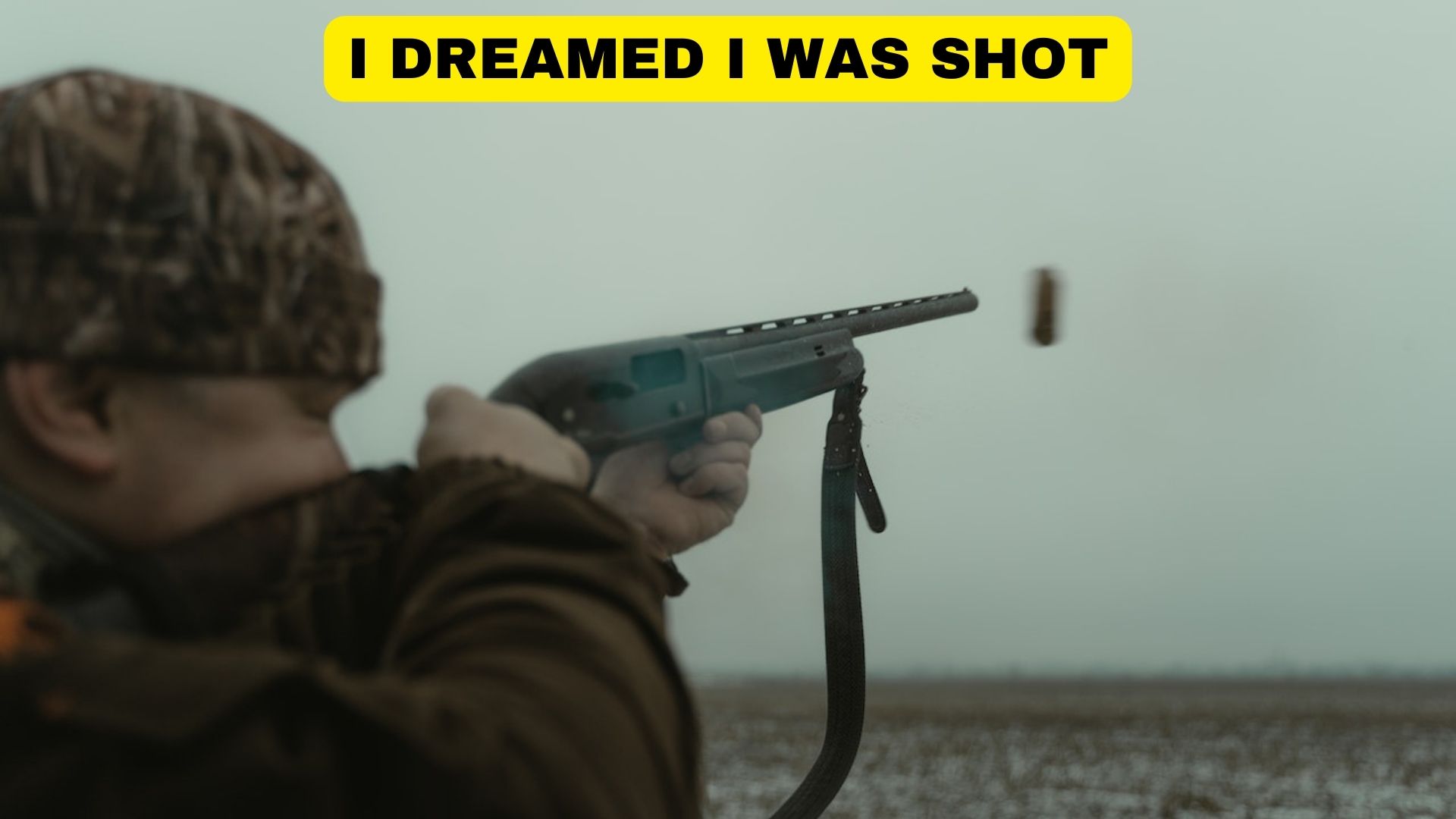 I Dreamed I Was Shot - Meaning And Symbolism
