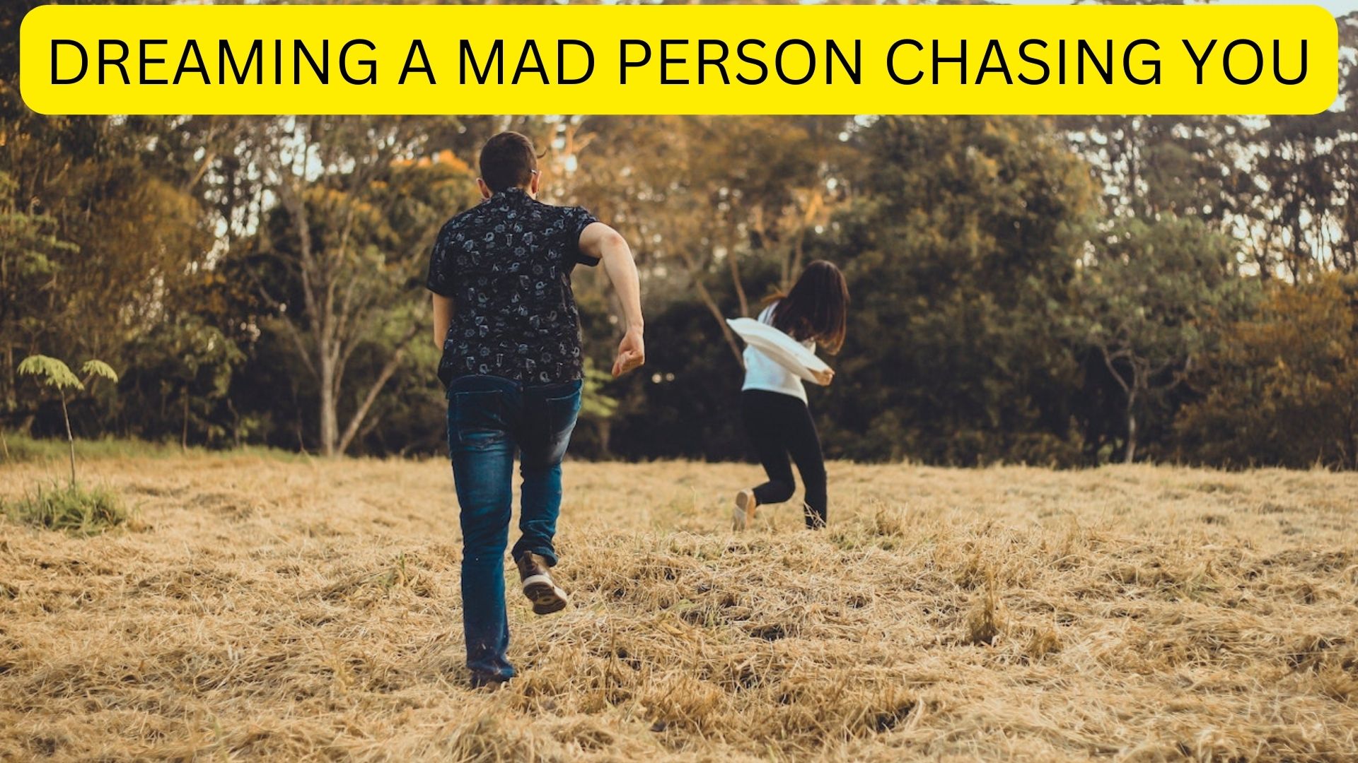 Dreaming A Mad Person Chasing You - Reflection Of Your Inner Demons