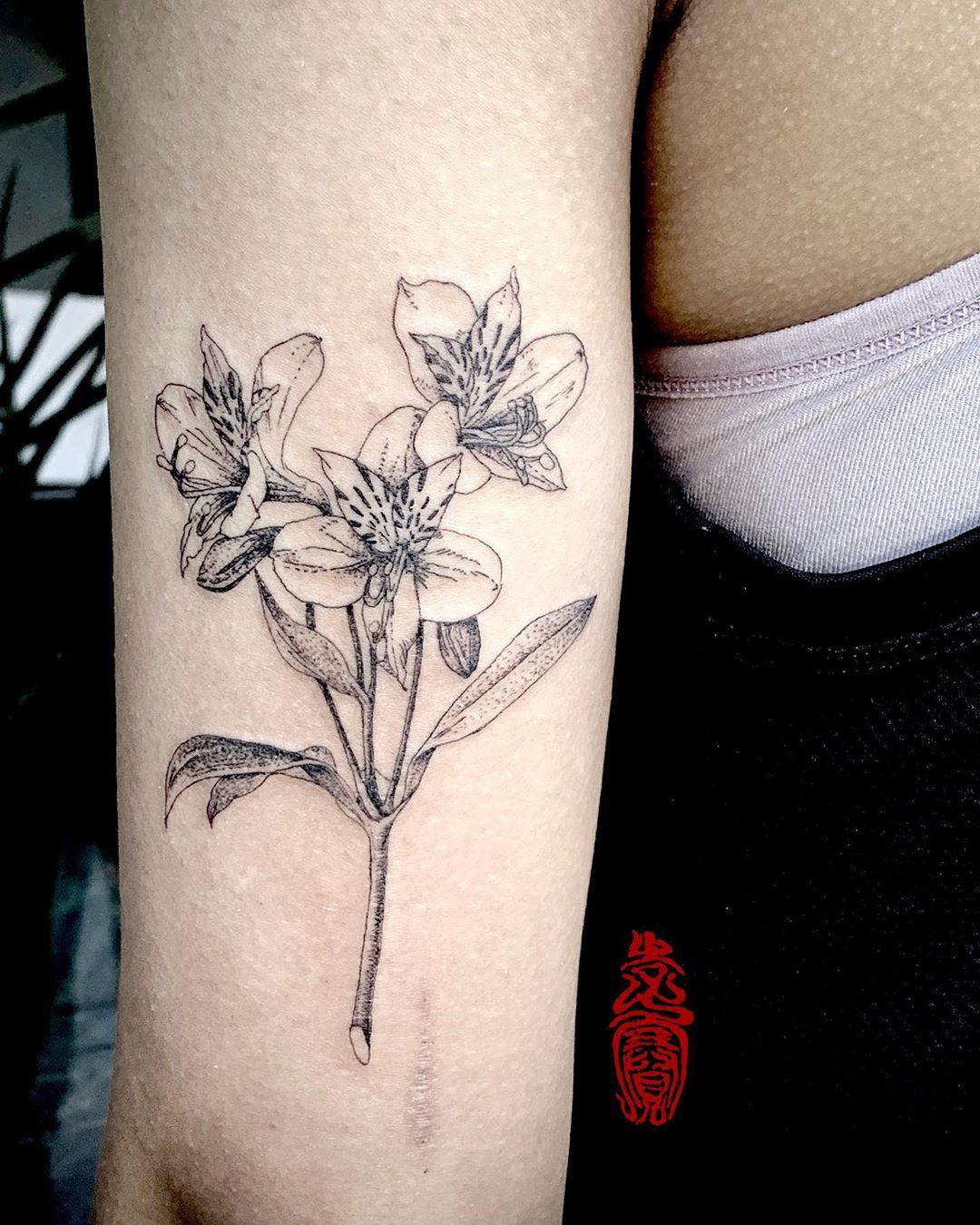 Black Peruvian Lily tattoo design on the arm of a girl