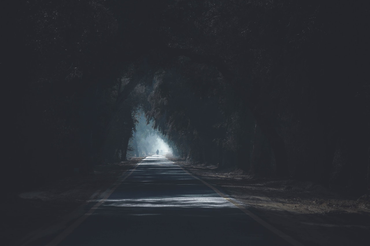 Dark Concrete Road Surrounded by Trees