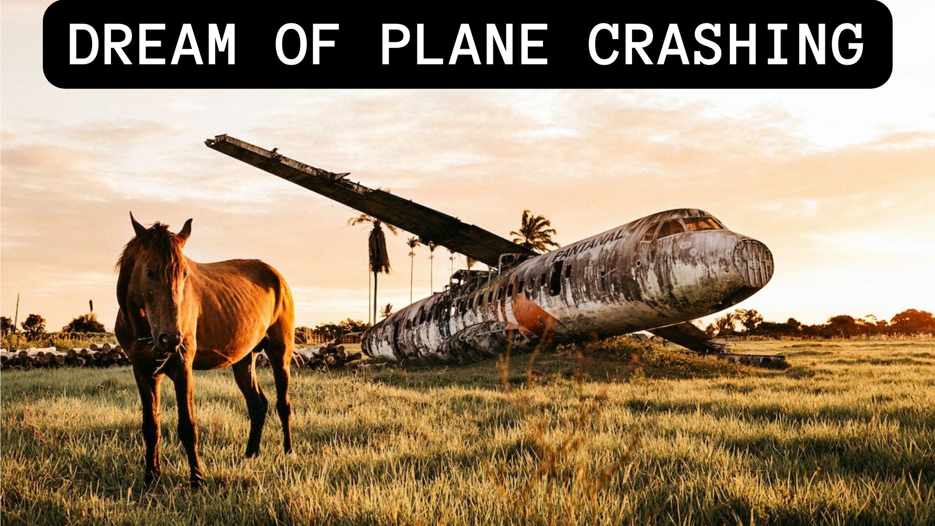 Dream Of Plane Crashing Means Good News Is On Its Way