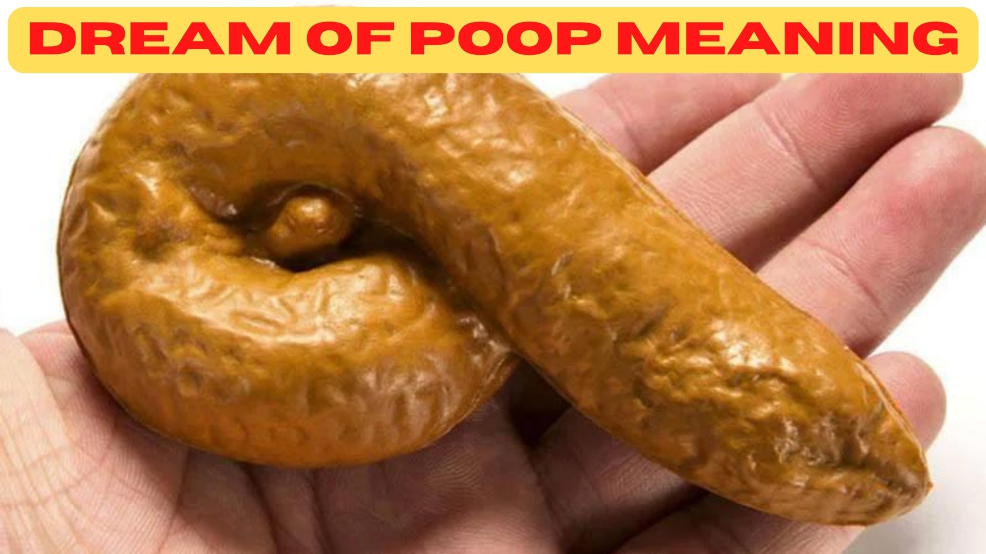 Dream Of Poop Meaning - A Sign Of Good Luck And Prosperity