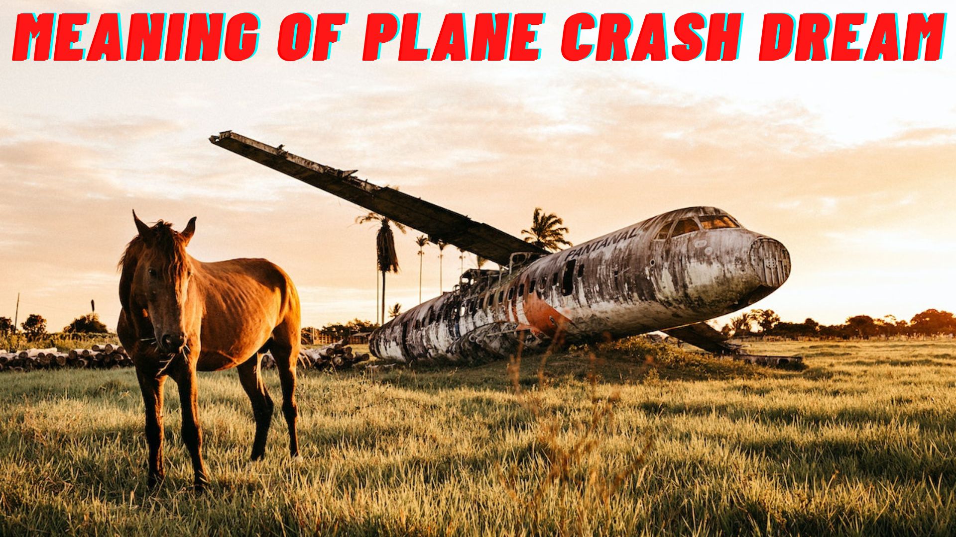 Meaning Of Plane Crash Dream - Symbolizes A Negative Part Of One's Life's Journey