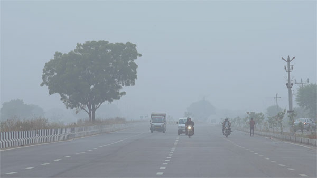 Delhi Is Waking Up To Thick Morning Fog Due To Severe Cold Wave
