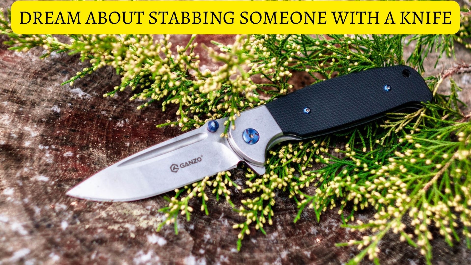 Dream About Stabbing Someone With A Knife - Interpersonal Insecurity