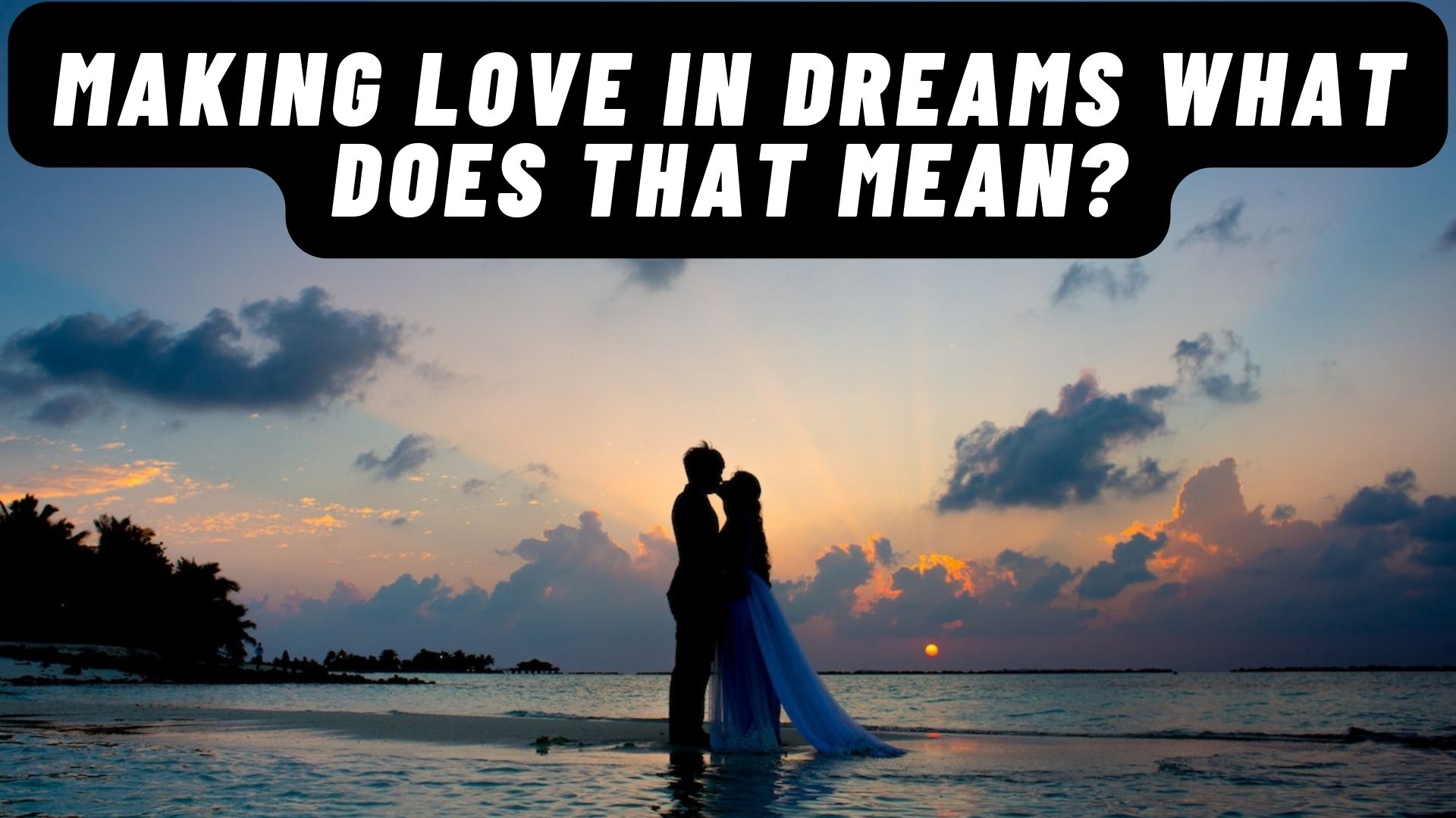 Making Love In Dreams - What Does That Mean?