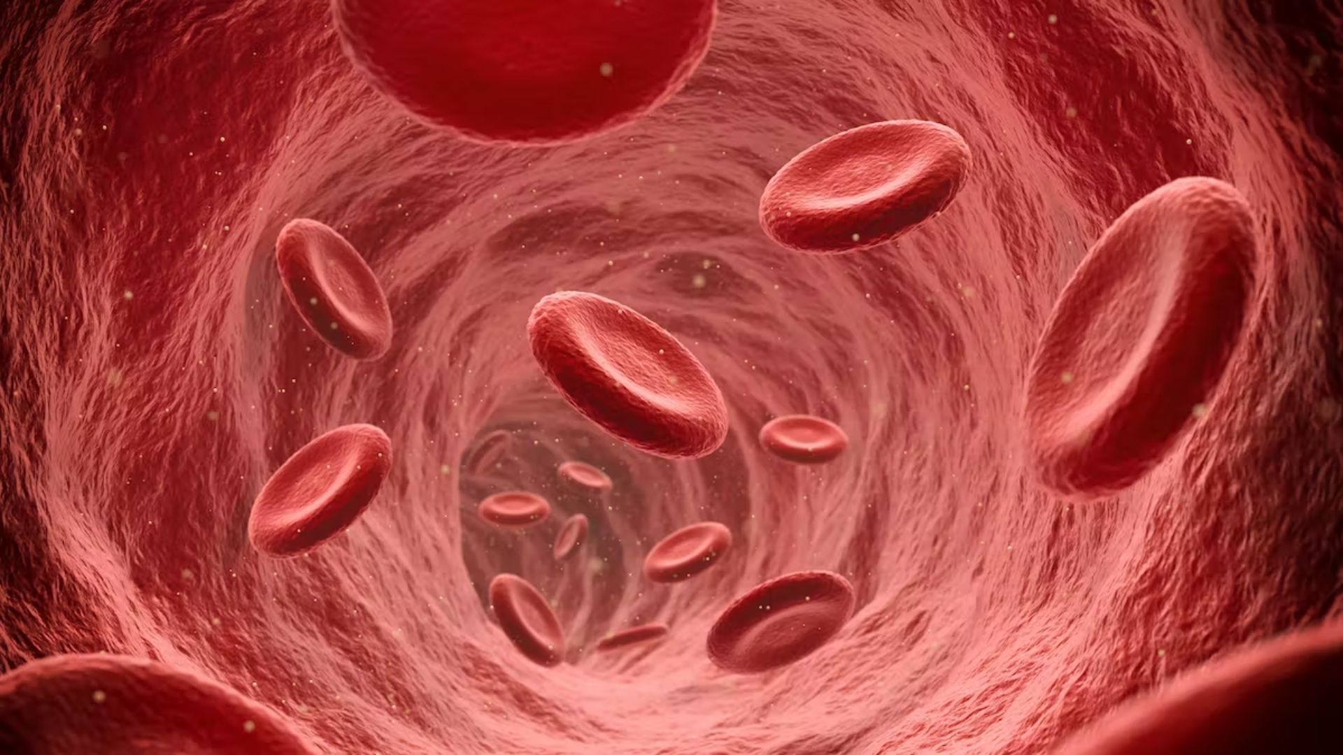 Round Red Blood Cells 