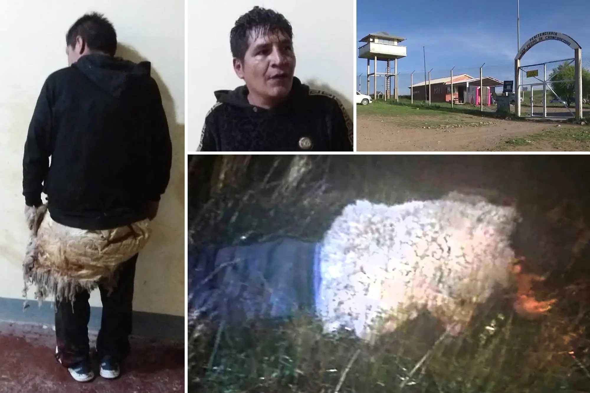 Bolivian Man Disguises Himself As A Sheep To Escape Prison