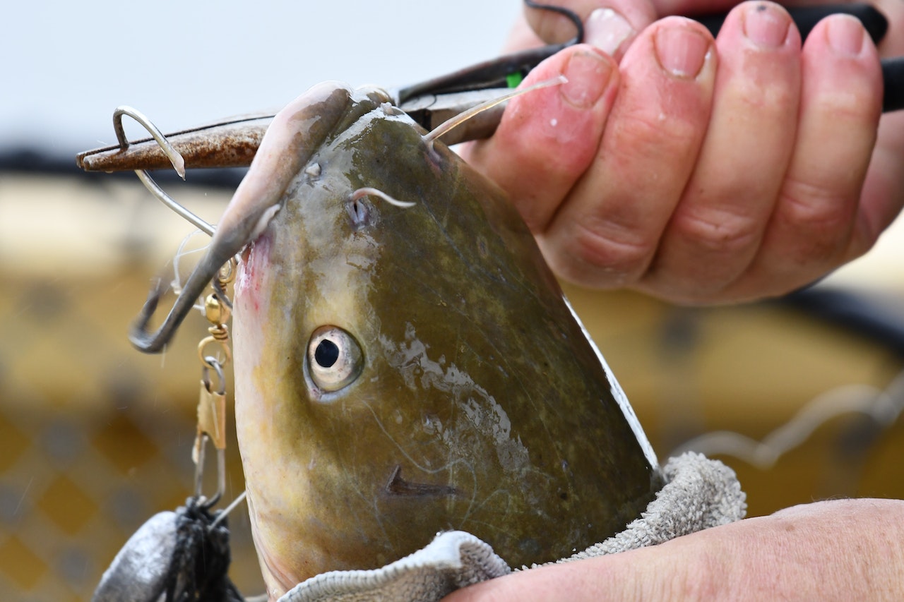 Top Saltwater Fishing Hooks For Big Game Fishing