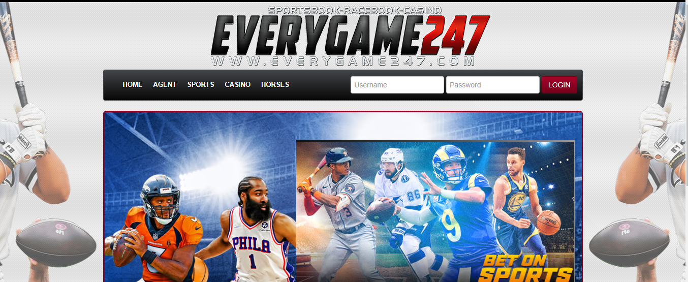 EveryGame247 - A User-Friendly And Secure Platform For Sports Bettors
