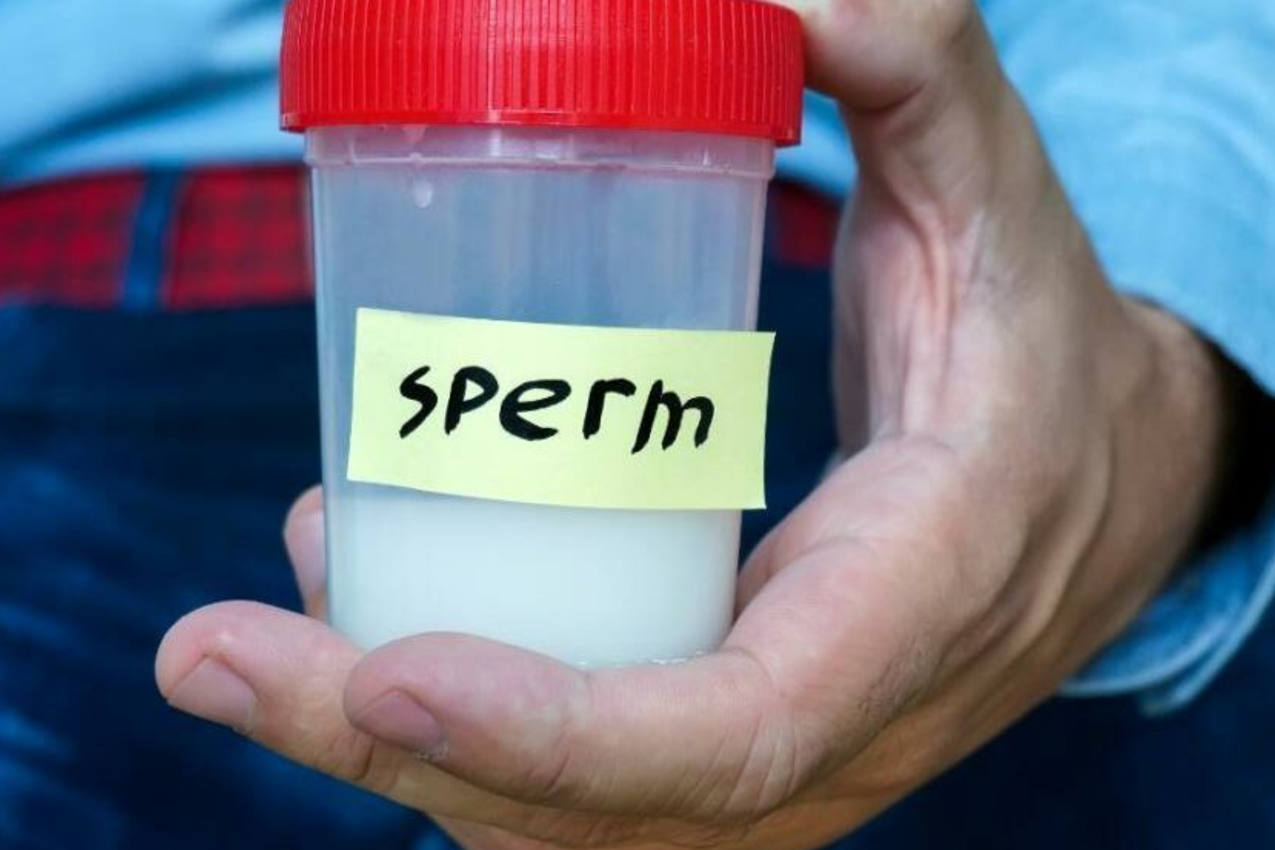 How Much Do Sperm Donors Make - An In-Depth Look