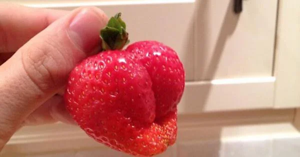 A strawberry resembling a butt