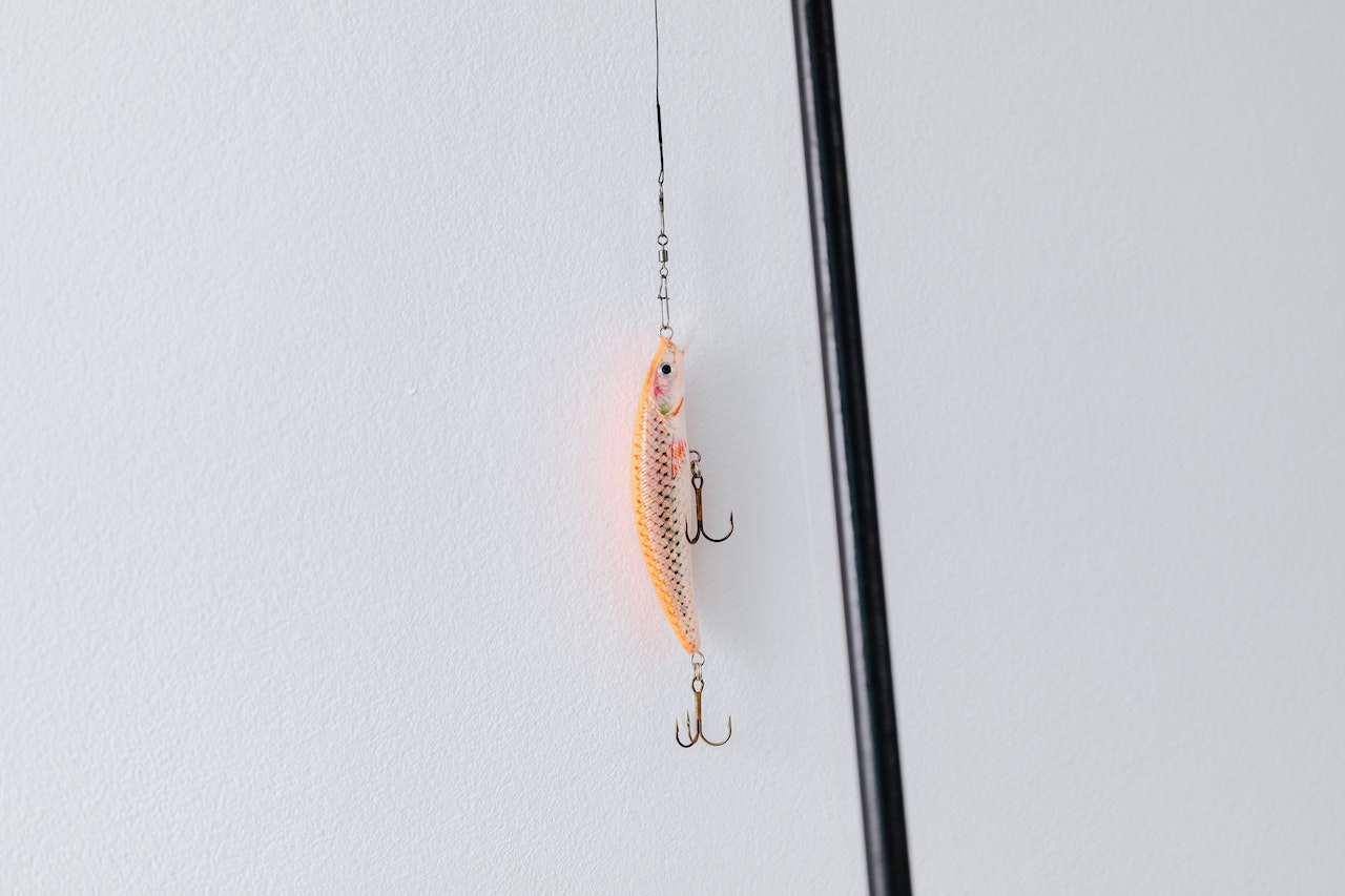 Hook Of A Fishing Rod