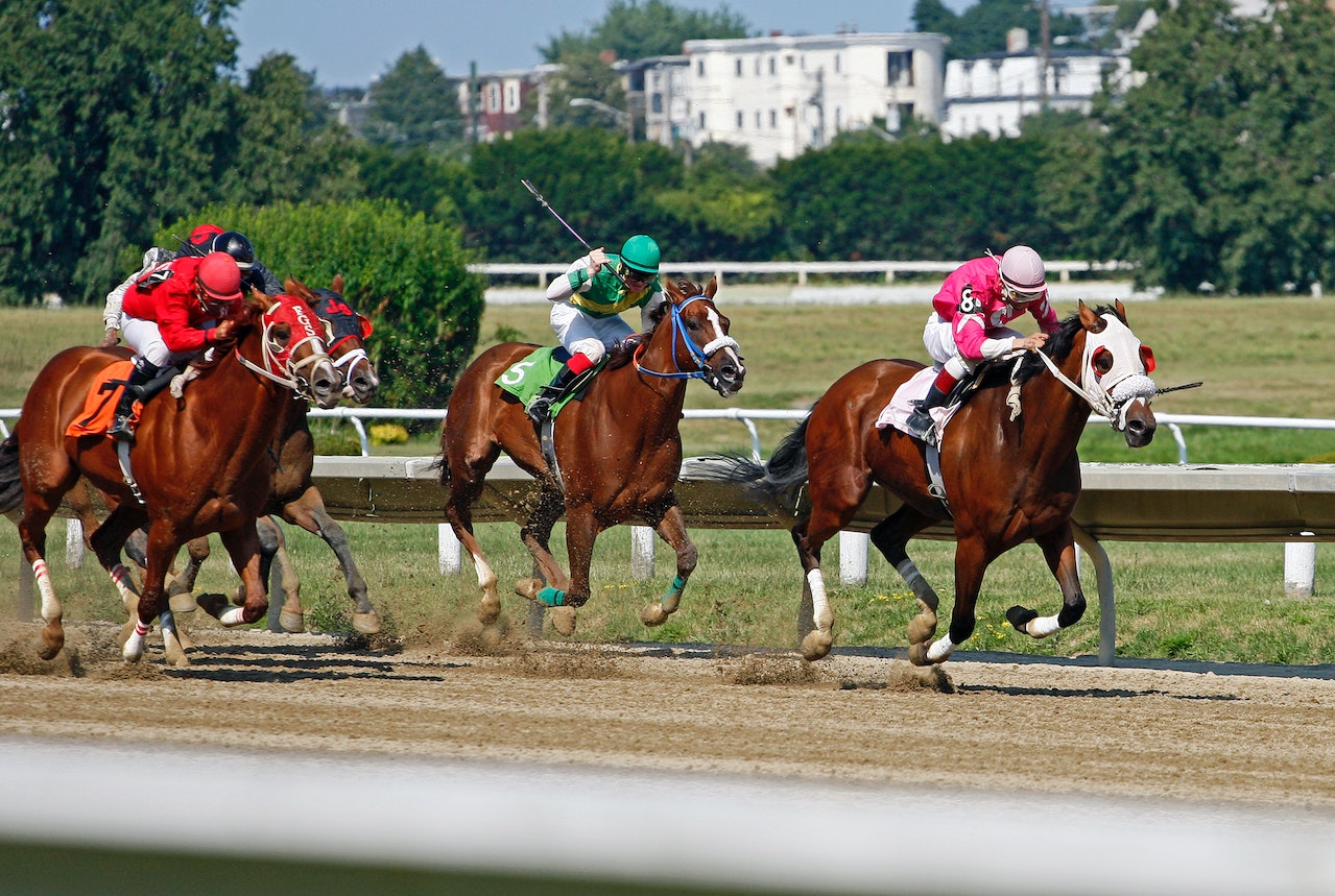 What Is A Trifecta In Horse Racing? Tips, Strategies, And Trifecta Calculator