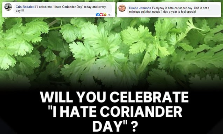 I Hate Coriander Day comments