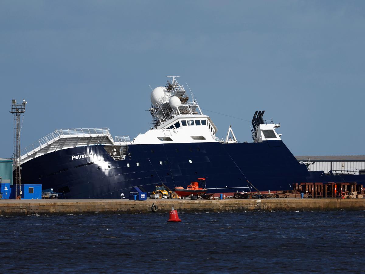 Dock Worker Recalls Billionaire's Ship Topples, 33 Injured